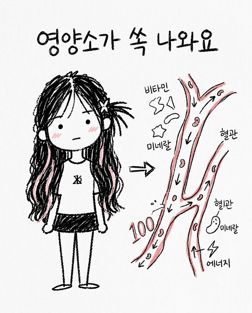카드뉴스